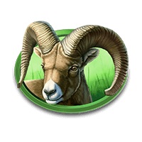 Символ Антилопа в Buffalo Bucks