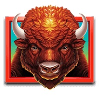 Символ Бизон в Buffalo Bucks