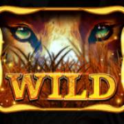 African Luck: Wild