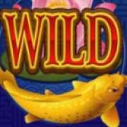 Символ Wild в Lucky Koi