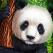 Bamboo Rush: Панда