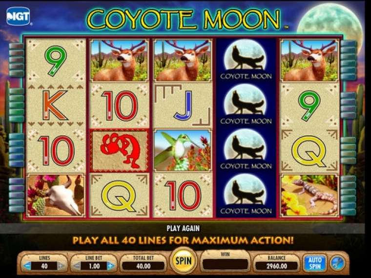 Слот Coyote Moon играть бесплатно