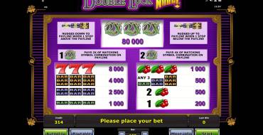 Double Luck Nudge: Выплаты