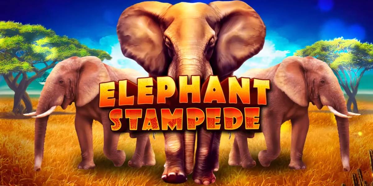 Elephant Stampede