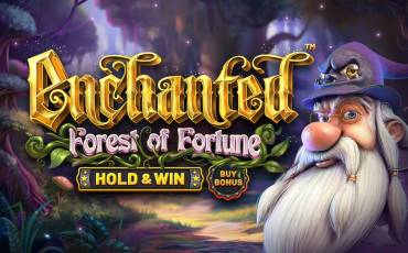 Игровой автомат Enchanted: Forest of Fortune Hold&Win