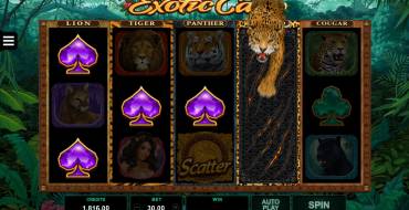 Exotic Cats: Игровой автомат