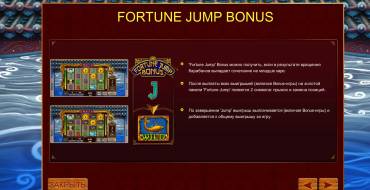 Fortune Jump: Опции