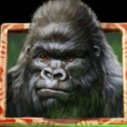 Gorilla Kingdom: Горилла