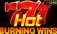 Онлайн слот Hot Burning Wins играть