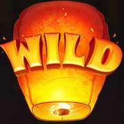 Ignite the Night: Wild