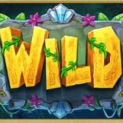 Magical Amazon: Wild