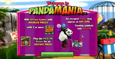 Panda Mania: Заставка