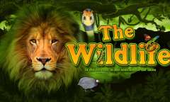 Онлайн слот The Wildlife играть