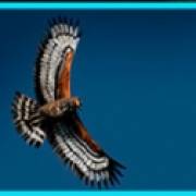 Untamed Crowned Eagle: Орел в полете