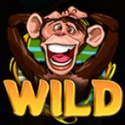 Wacky Monkey: Wild