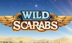 Онлайн слот Wild Scarabs играть