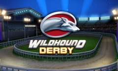 Онлайн слот Wildhound Derby играть