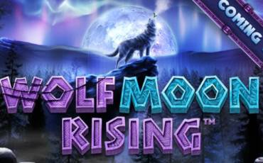 Игровой автомат Wolf Moon Rising