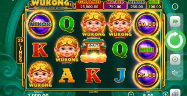 Wukong Hold and Win: Игровой автомат