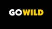 Каталог игр Red Tiger теперь в сети брендов GOWILD